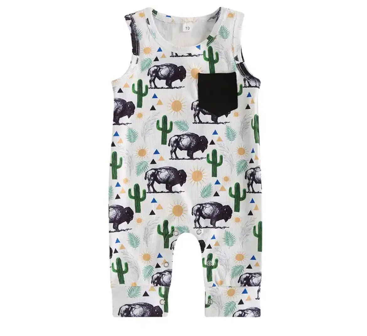 Bison overalls